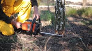 Reliable Cliffwood Beach, NJ  Tree Services Solutions